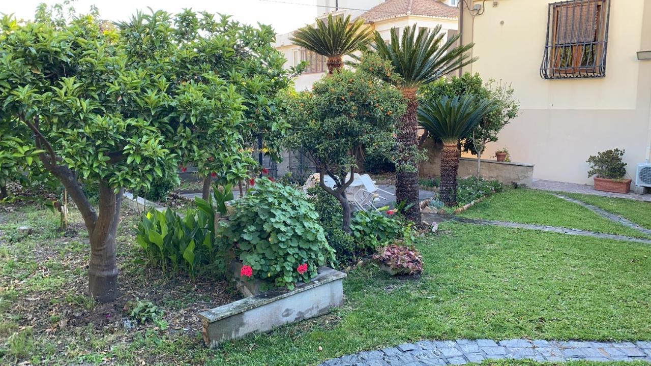 Villa Relax On The Sea Pizzo  Esterno foto